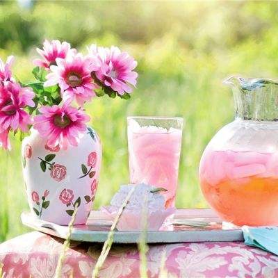 喵语春风内购破解版下载
